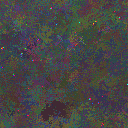 World at epoch 146000