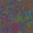 World at epoch 95000