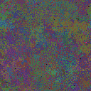 World at epoch 115000