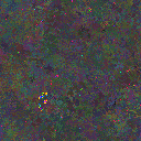 World at epoch 77000