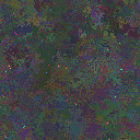 World at epoch 95000