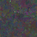 World at epoch 75000
