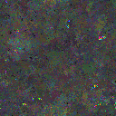 World at epoch 65000