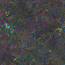 World at epoch 75000