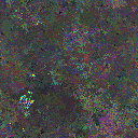 World at epoch 160000