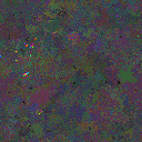 World at epoch 77000