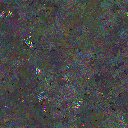 World at epoch 80000