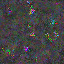 World at epoch 65000
