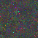 World at epoch 110000