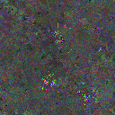 World at epoch 86000