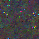 World at epoch 80000