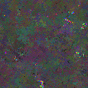 World at epoch 110000