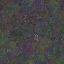 World at epoch 150000