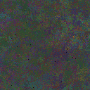 World at epoch 79000