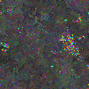 World at epoch 125000