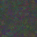 World at epoch 97000
