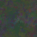 World at epoch 79000