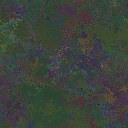 World at epoch 80000