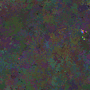 World at epoch 155000
