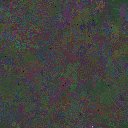 World at epoch 81000