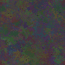 World at epoch 135000