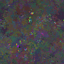 World at epoch 76000
