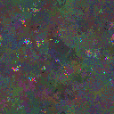 World at epoch 79000