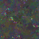 World at epoch 81000