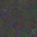 World at epoch 95000