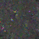 World at epoch 79000