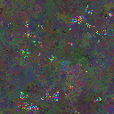 World at epoch 79000