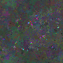World at epoch 82000