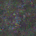 World at epoch 79000
