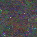 World at epoch 65000