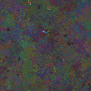 World at epoch 155000