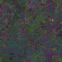 World at epoch 64000