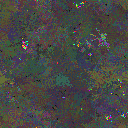 World at epoch 77000