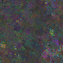 World at epoch 79000