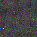 World at epoch 97000
