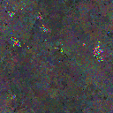 World at epoch 79000