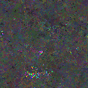 World at epoch 65000
