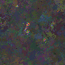 World at epoch 75000