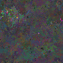 World at epoch 95000
