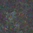 World at epoch 78000