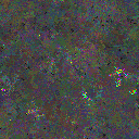 World at epoch 80000