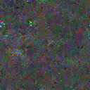 World at epoch 82000