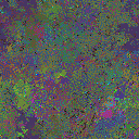 World at epoch 64000
