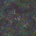 World at epoch 105000