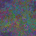 World at epoch 65000