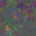 World at epoch 69000